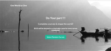 one-world-to-give-surveys